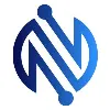 The Network Firm The Network Firm