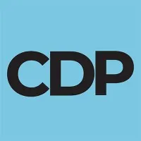 Community Development Professionals, LLC