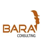 BARA CONSULTING LTD