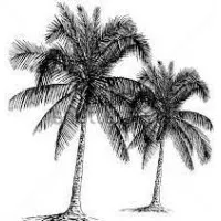 JEANIOLOGIE INC.