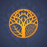 First Choice Tree Service