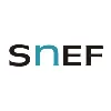 Snef Brasil Snef Brasil