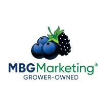 MBG Marketing®