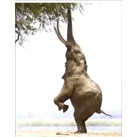 Global Talent Aquisition Head Group