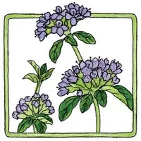 Pennyroyal Farm