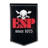 ESP Guitar Co