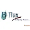 B-FLUX MANAGEMENT SERVICES B-FLUX MANAGEMENT SERVICES
