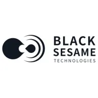 Black Sesame Technologies Inc