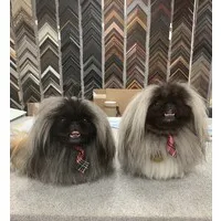 Parthenon Framing Parthenon Framing