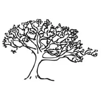 Silver Maple Construction Silver Maple Construction