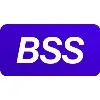Banks Soft Systems (BSS) Banks Soft Systems (BSS)