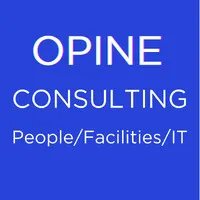 Opine Consulting Opine Consulting