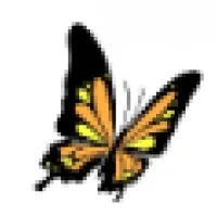 Medi-Cal Consulting Services Inc.