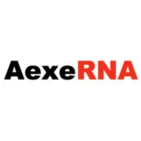 AexeRNA Therapeutics AexeRNA Therapeutics