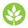 HollisterStier Allergy