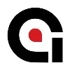 ANSER CODING INC ANSER CODING INC