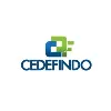 PT CEDEFINDO PT CEDEFINDO