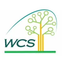 Wood Consulting Services Wood Consulting Services