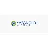 Yabancı Dil Akademisi