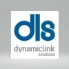 Dynamic Link Solutions Dynamic Link Solutions