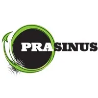 Prasinus Energy Services Pty Ltd Prasinus Energy Services Pty Ltd