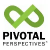 Pivot Point Solutions Group (PPSG LLC)