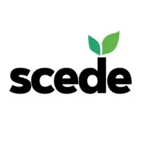 Scede