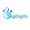 BigDigits Digital Solutions LLP BigDigits Digital Solutions LLP