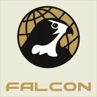 Falcon America