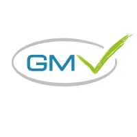 GMV Consulting