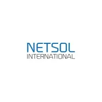 Netsol International