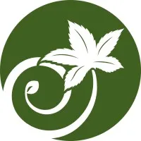 The Cannabis Alliance