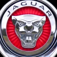 Jaguar Lakewood