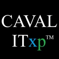Lavac IT Tech™