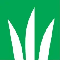 DLF