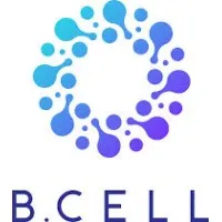 B.Cell B.Cell