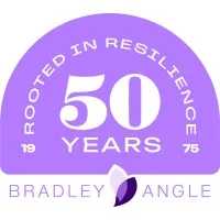 Bradley Angle