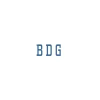 B D G & CO LLP