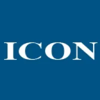 ICON Consultant Group, Inc.