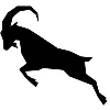 GOAT AI Solutions GOAT AI Solutions