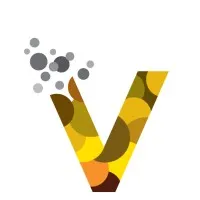 Venture Capital Co. شركة الاستثمار الجريء