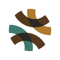Black & Brown Collective for Community Solutions to Gun Violence