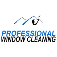 Professional Window Cleaning Professional Window Cleaning