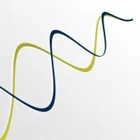 Selking Performance Group