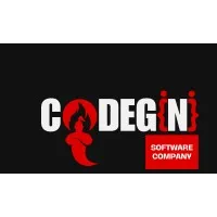 CodeGini Digital Solution Provider