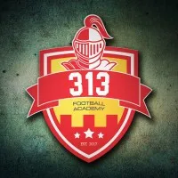 313 Football Academy 