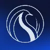 Bluebird Technologies Bluebird Technologies
