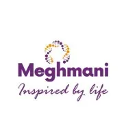 MEGHMANI LIFESCIENCES LTD