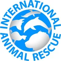 International Animal Rescue