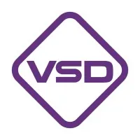 VSD Audit and Assurance Co., Ltd. VSD Audit and Assurance Co., Ltd.
